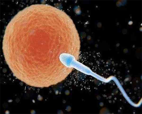 <strong>哪里能做供卵_国内供卵合法吗,扬州三代试管供卵机构排名</strong>