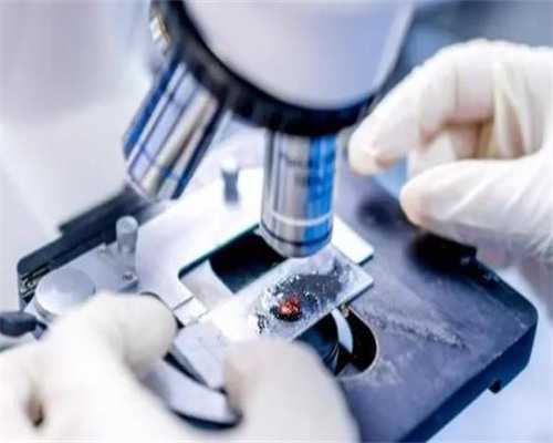 国内精选供卵试管医院电话与地址