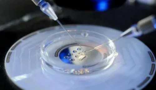 重庆市计生医院生殖医学中心：关于供卵试管代怀的经验分享与解答