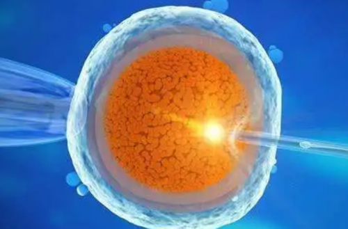 2026广州供卵试管代怀指南：费用、流程与成功率解析