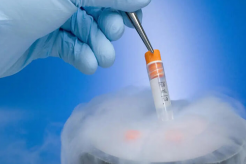 北京正规供卵试管机构探寻：成功助孕之路