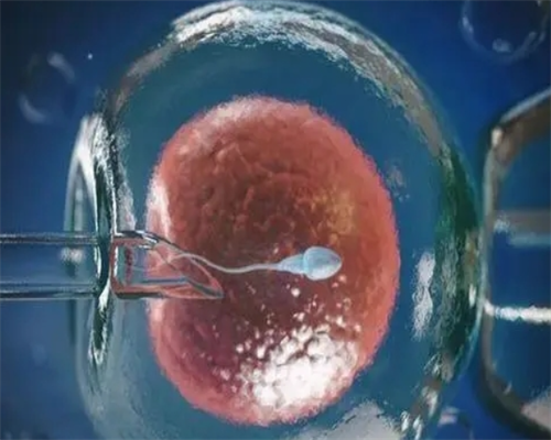 备孕饮食注意事项_备孕期间注意,女性一般月经干净了第几天排卵怎么正确计算