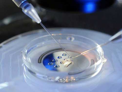 泰国试管婴儿：深入解析供卵代怀与助孕过程