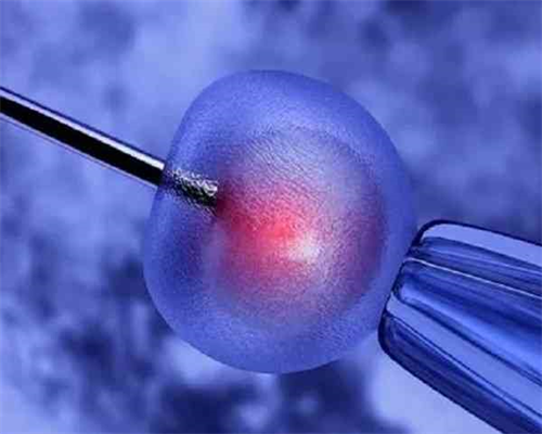 紫朵朵供卵陷阱_在找供卵不排队,【泉州供卵医院失独超高龄供卵试管】怀孕期