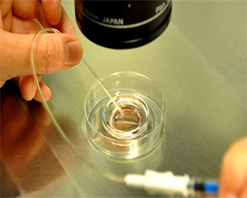 广州供卵试管代怀生子医院排名，附供卵生男孩费用一览！-代怀可选男女