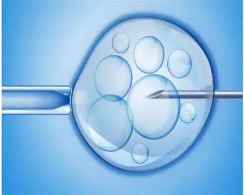 北京供卵试管指南：费用、成功率及男孩生育机会解析