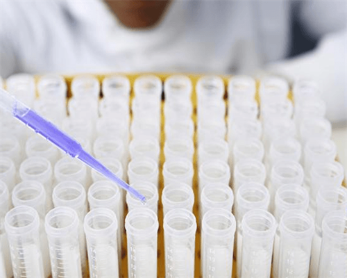 泰国借卵试管费用与流程解析：单身男女如何选择