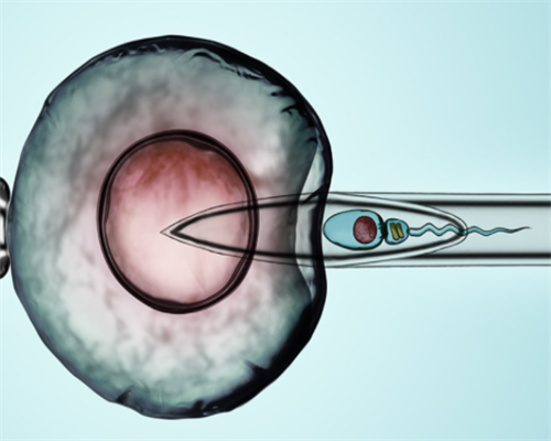 国内供卵试管可行性与交流：经验分享与医院选择