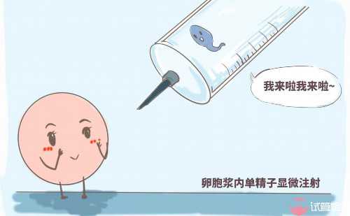 绝经后供卵试管_供卵是什么样子,淮北哪里能供卵做三代试管？