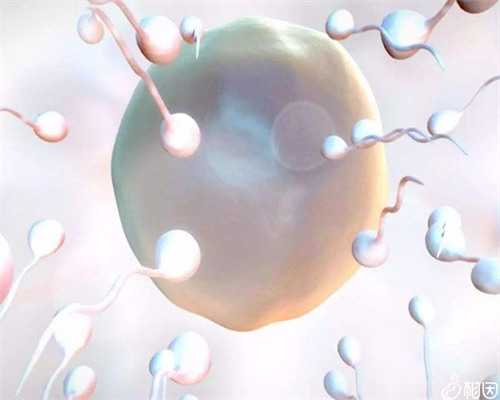 重庆试管婴儿医院深度解析：代生、借卵价格与专业代怀指南