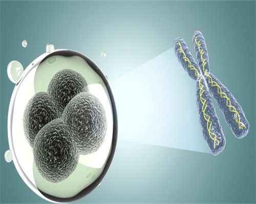 2026江西省妇幼保健院供卵三代试管婴儿费用解析及医院指南