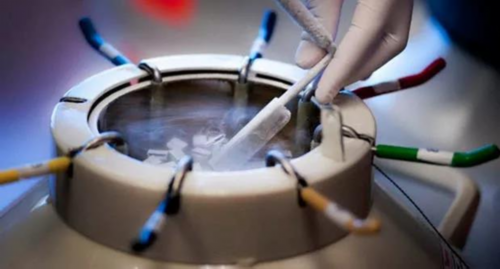 -中介香港验血四天出结果_代怀中心费用_代生全包价_同志代怀-代生手续_试管代