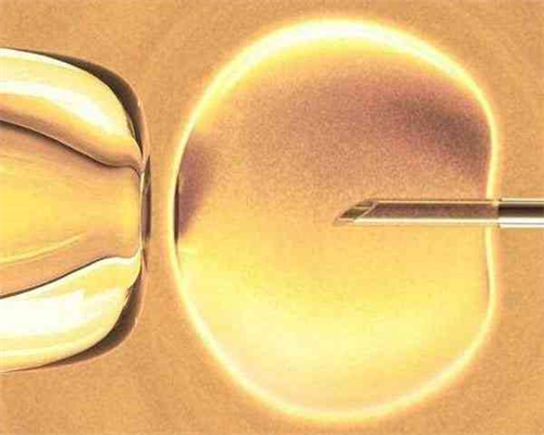 重庆代怀生子机构：三代试管婴儿价格与助孕服务解析