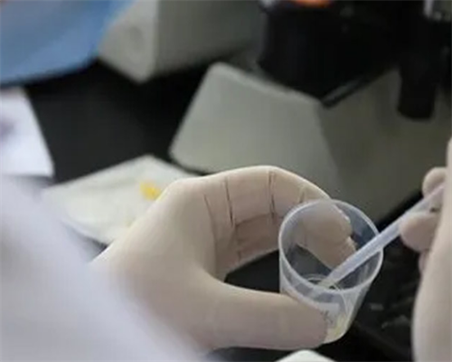 试管移植后如何安躺？金贝经验分享