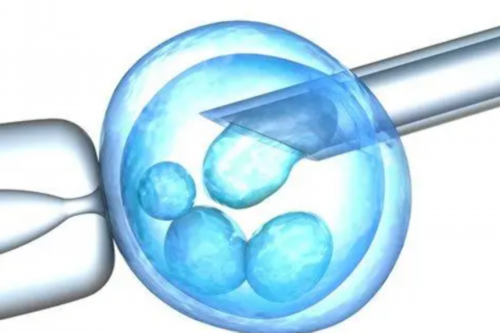 广州供卵试管代怀机构推荐及生男孩费用解析