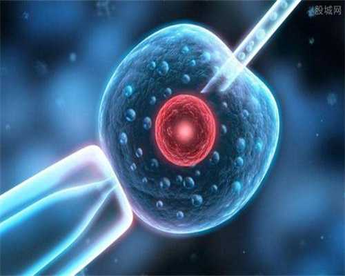 我的供卵试管婴儿_供卵公司名单,北京第三代供卵试管费用明细